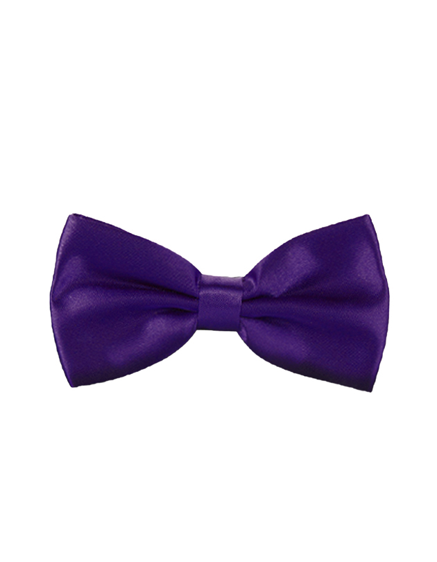 Bow Tie in Dark Purple